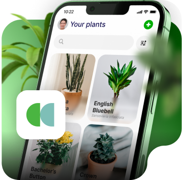 Planty Plant Care